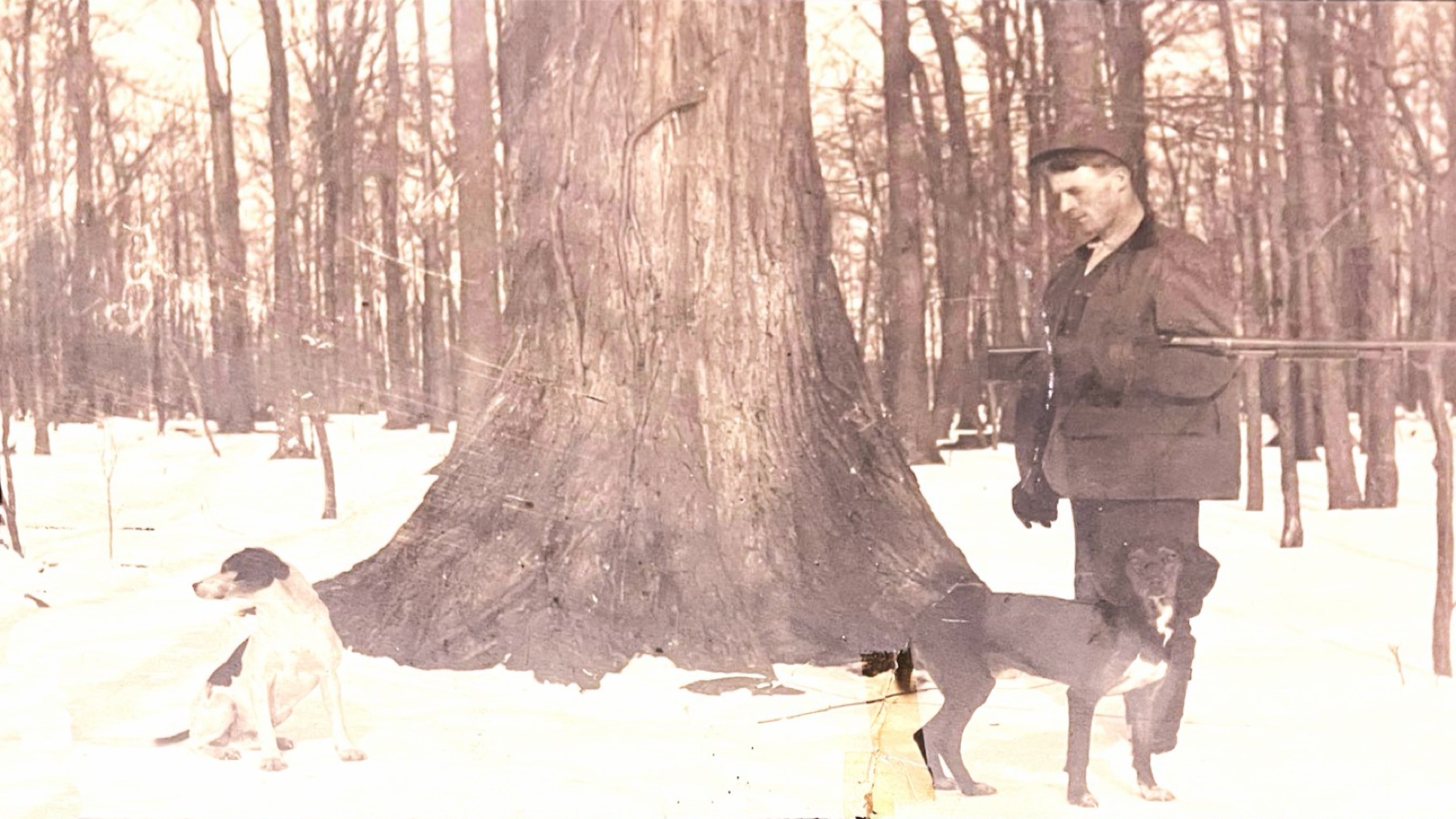 Original deteriorated winter hunting photograph before restoration